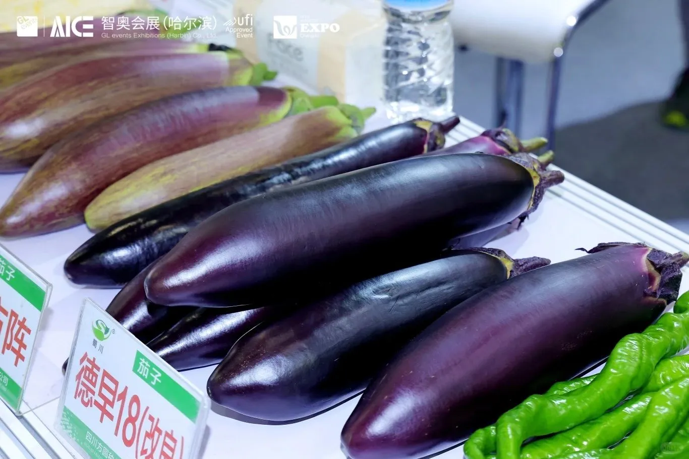 成都种业博览会圆满收官！