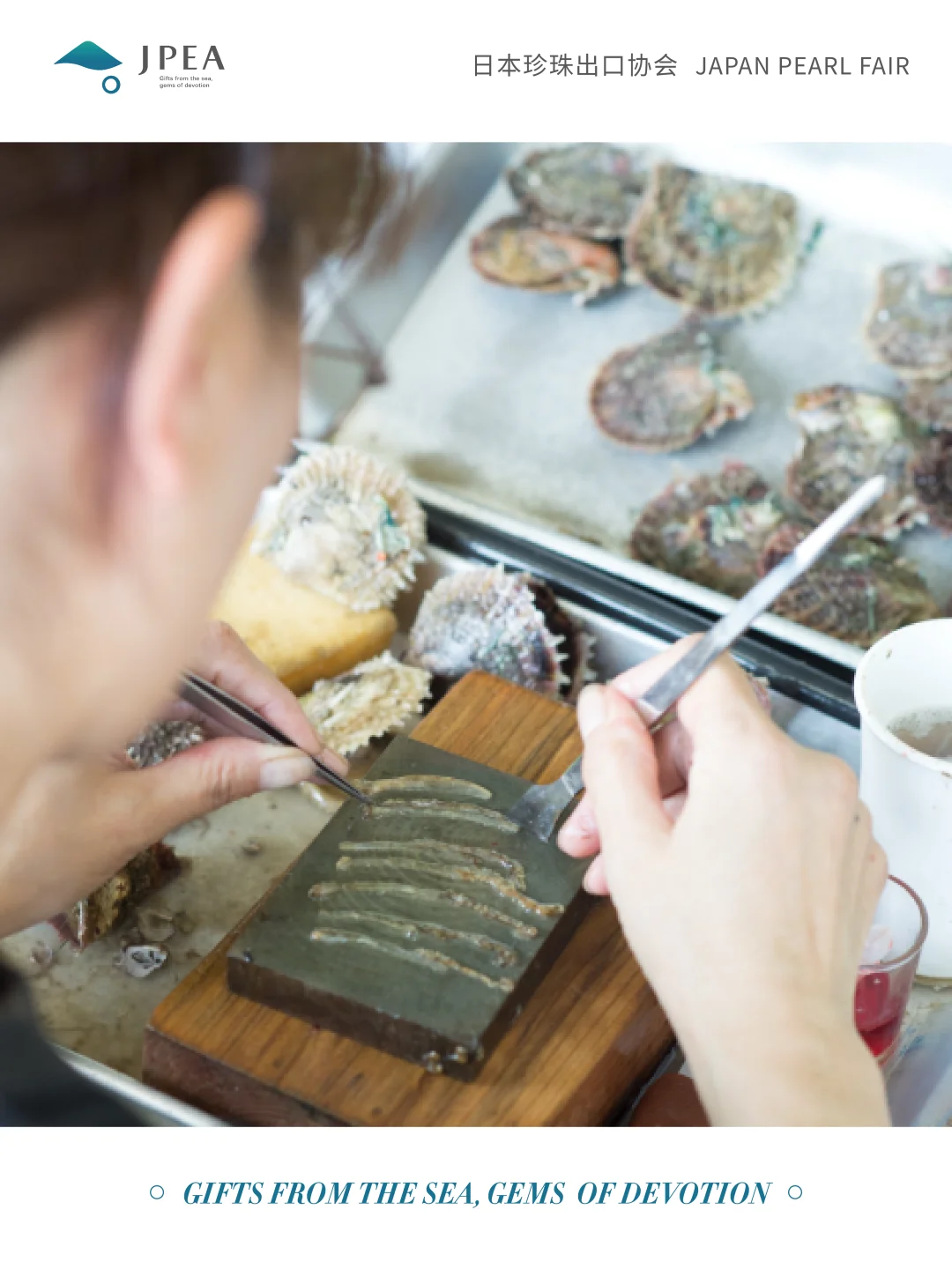 【展会攻略】日本珍珠出口政策解读