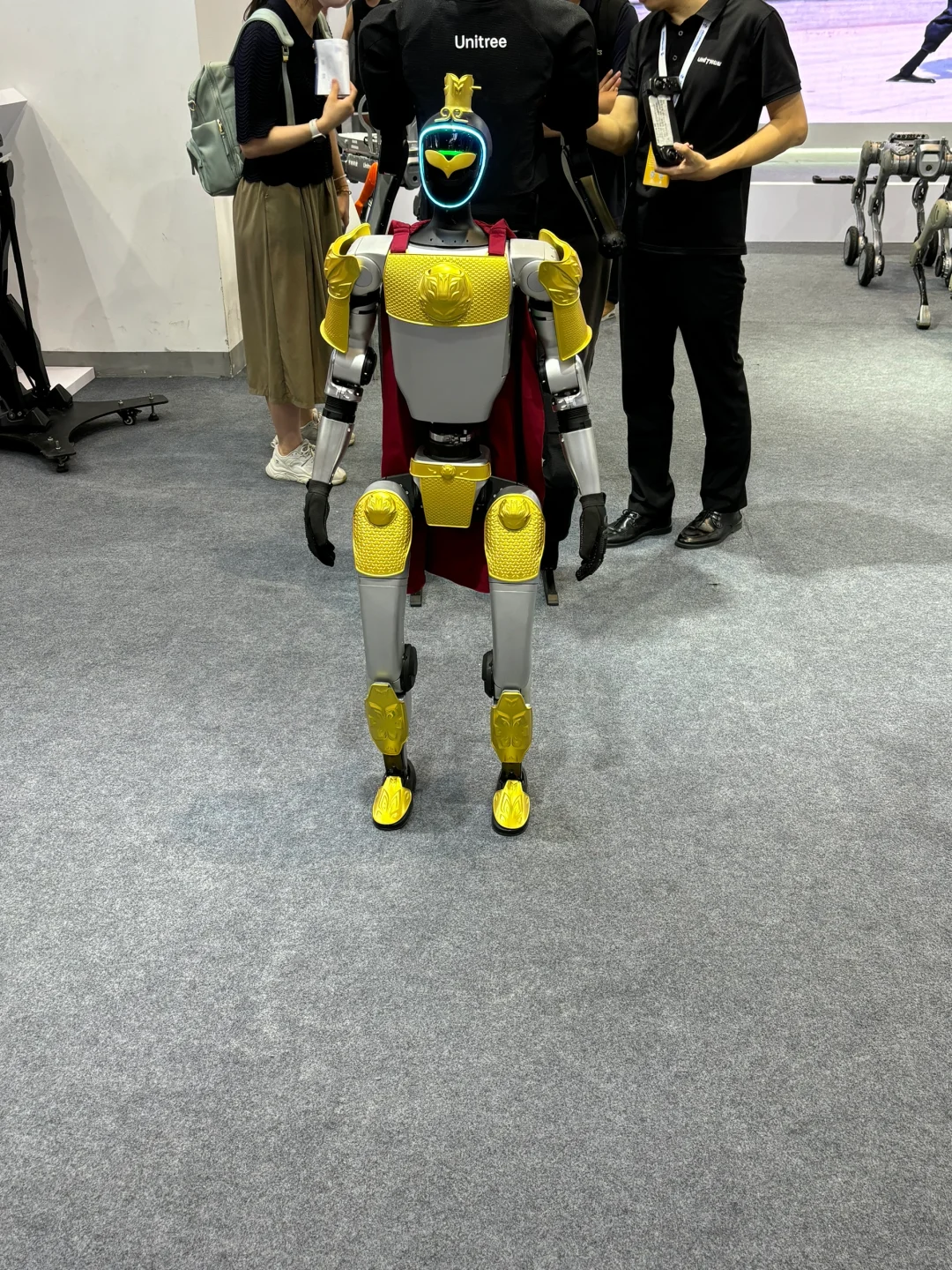 北京亦庄世界机器人博览会