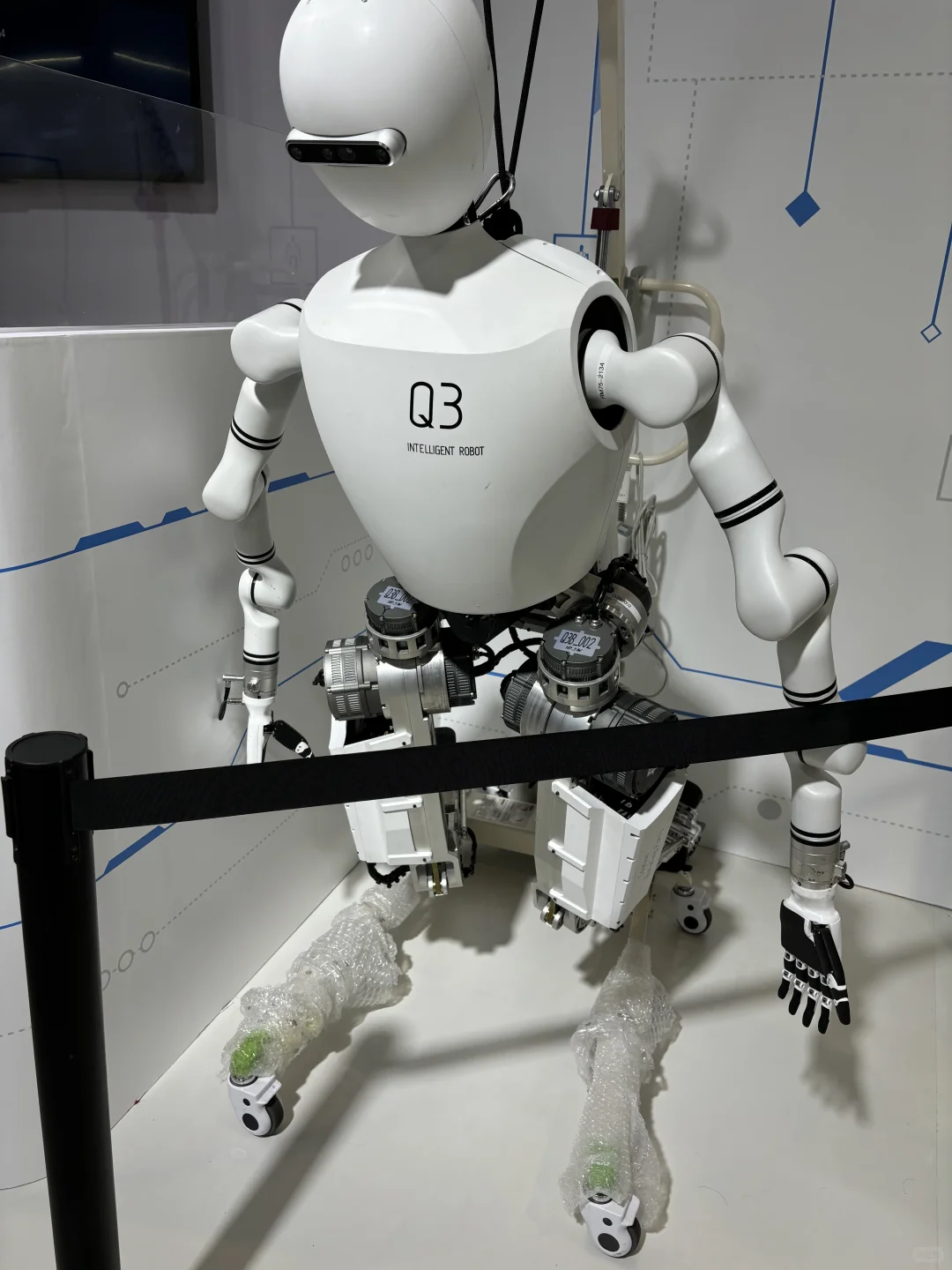 北京亦庄世界机器人博览会