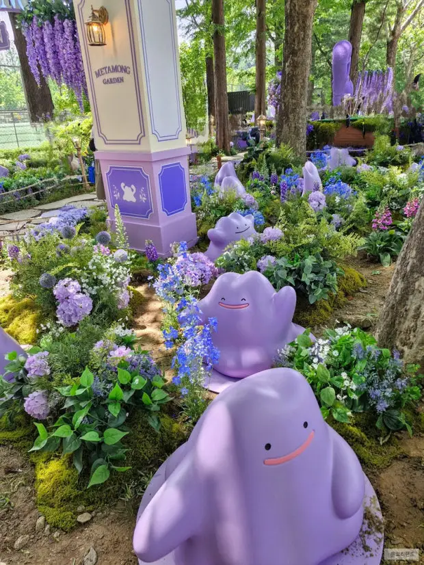 ??首尔的治愈庭院和百变怪们