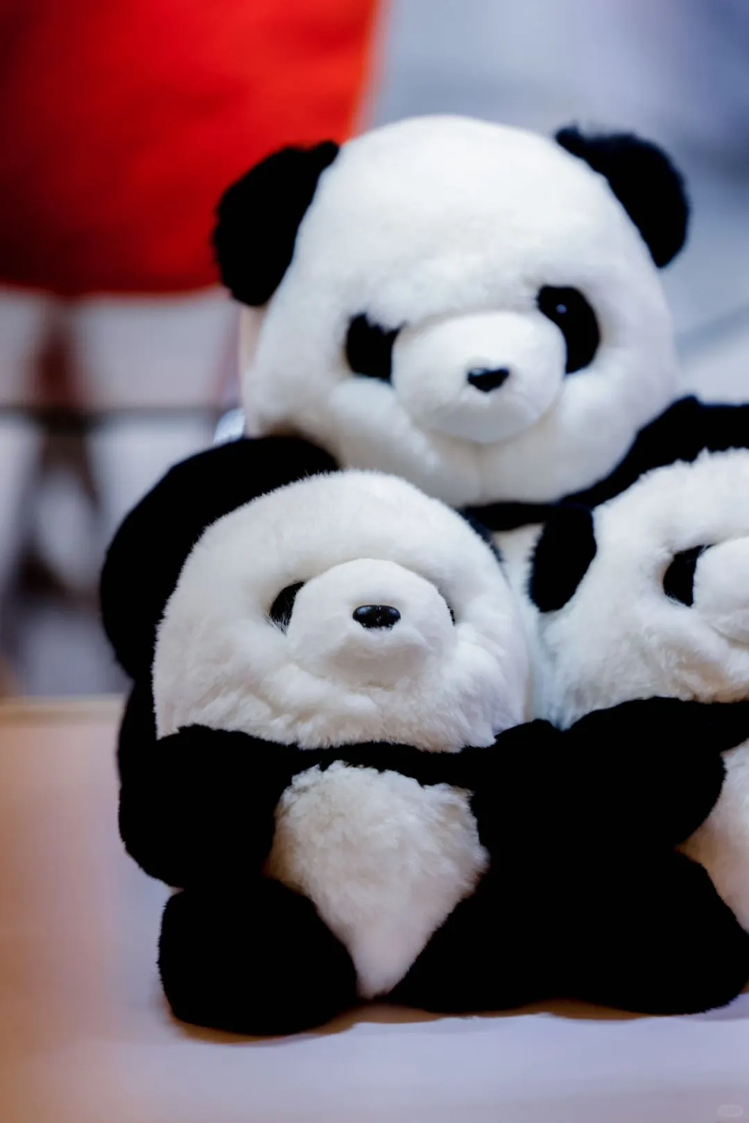 只有三天，连续举办24年的华礼展不容错过