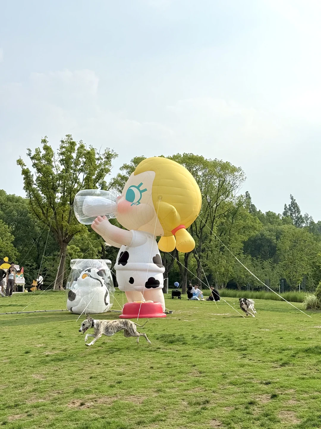 上海?可爱新展！！巨多活泼狗子?！！！