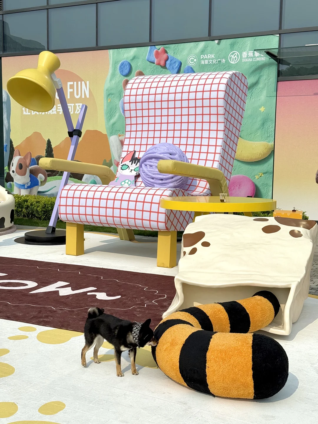 上海?可爱新展！！巨多活泼狗子?！！！