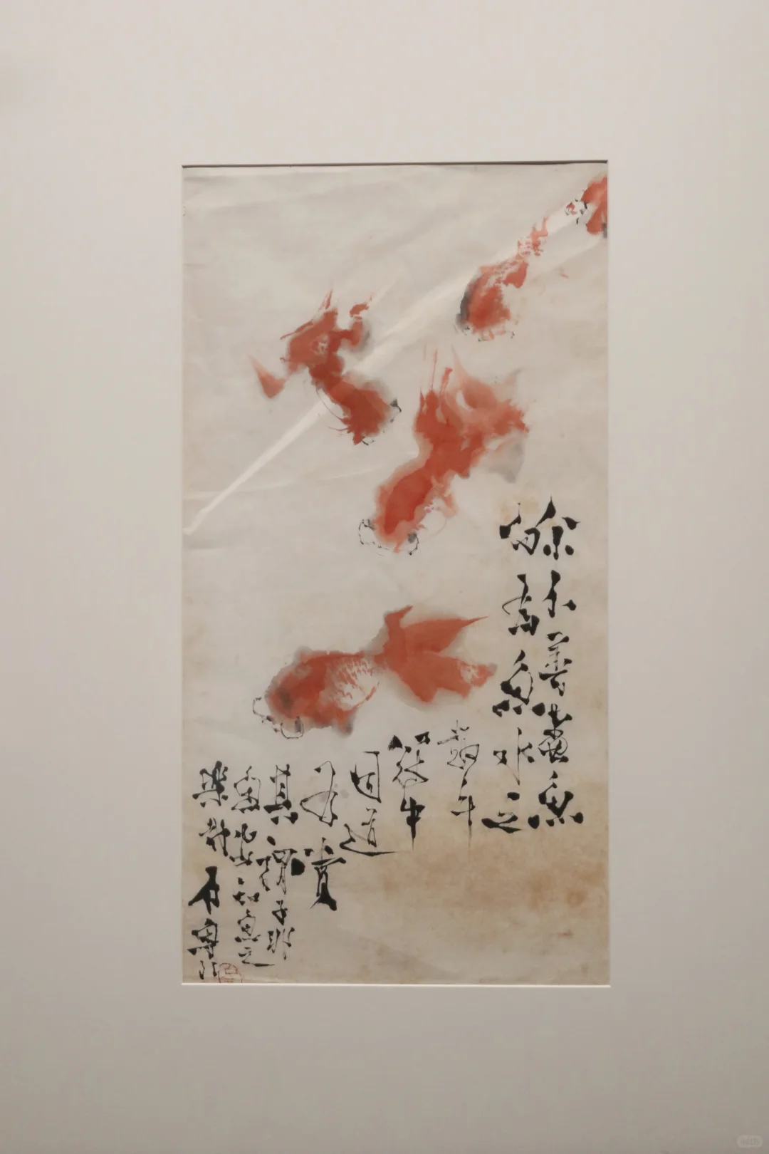 深圳免费新展！一次性看10个展