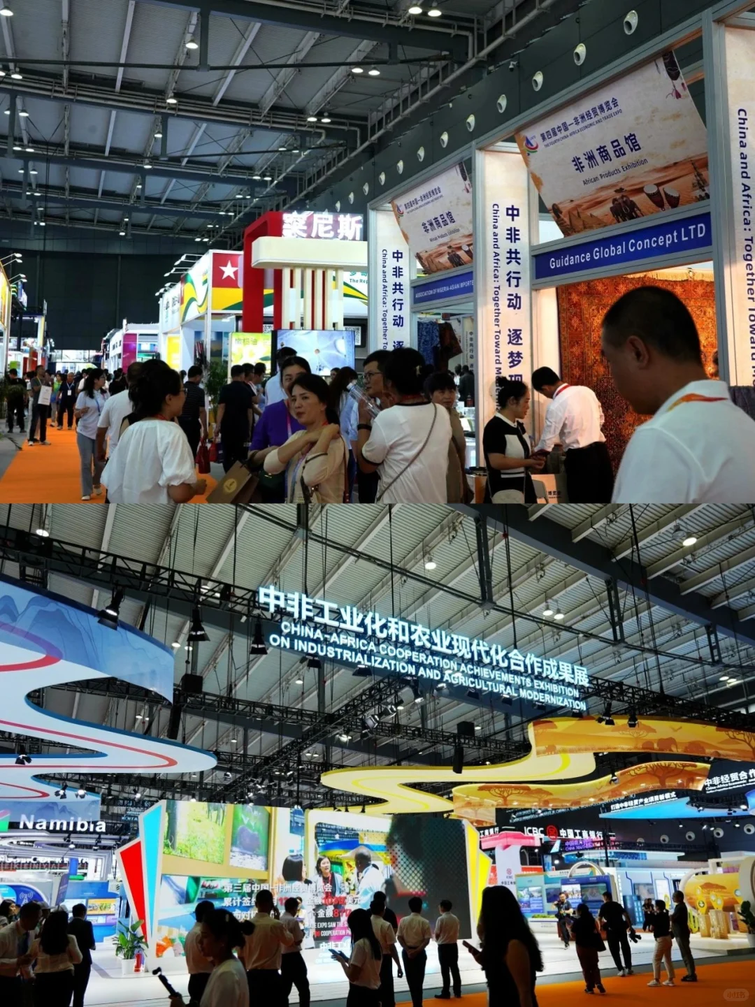 今天开馆！长沙宝妈在家门口就能带娃逛非洲