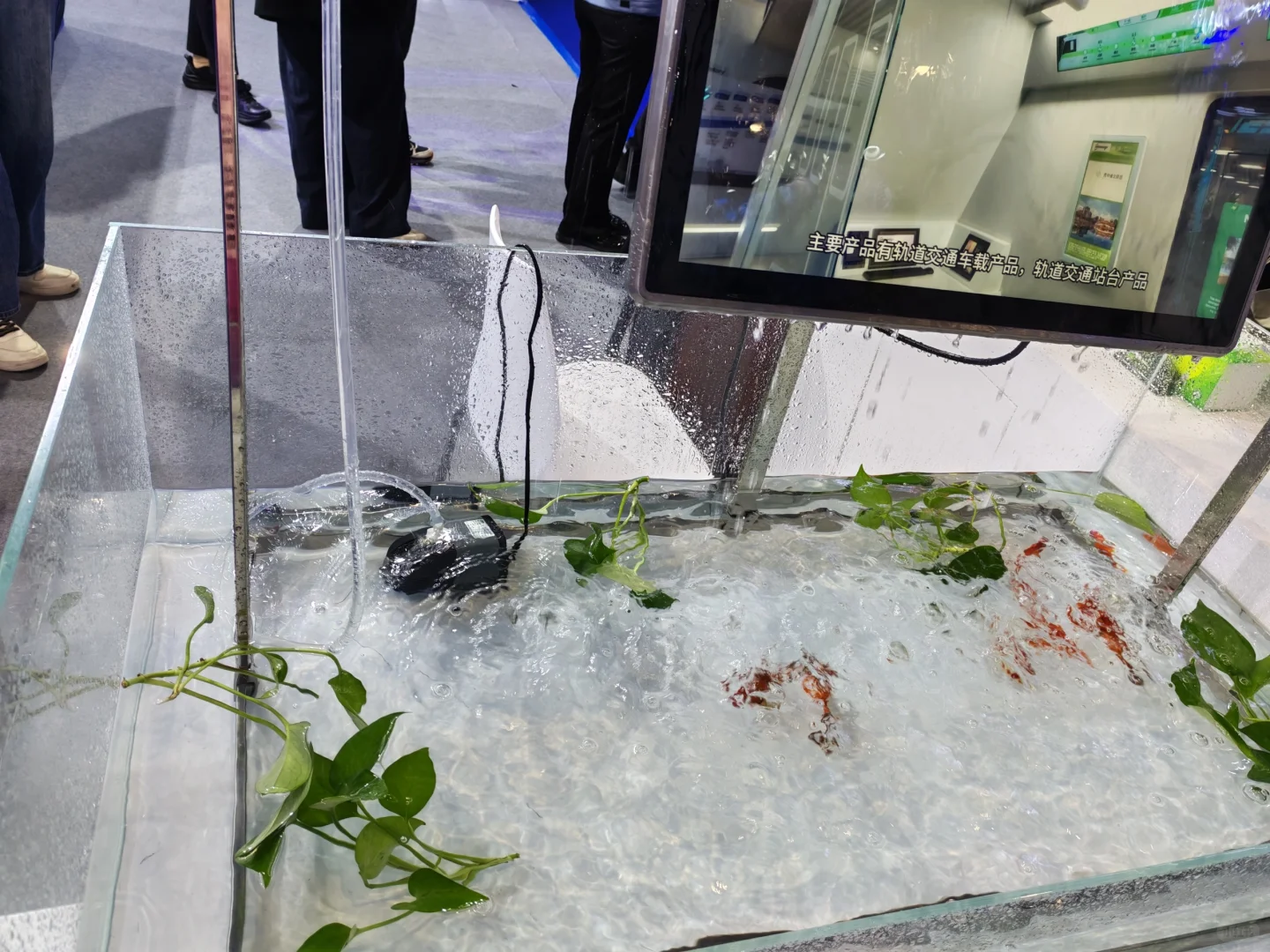 长春光电博览会一日游