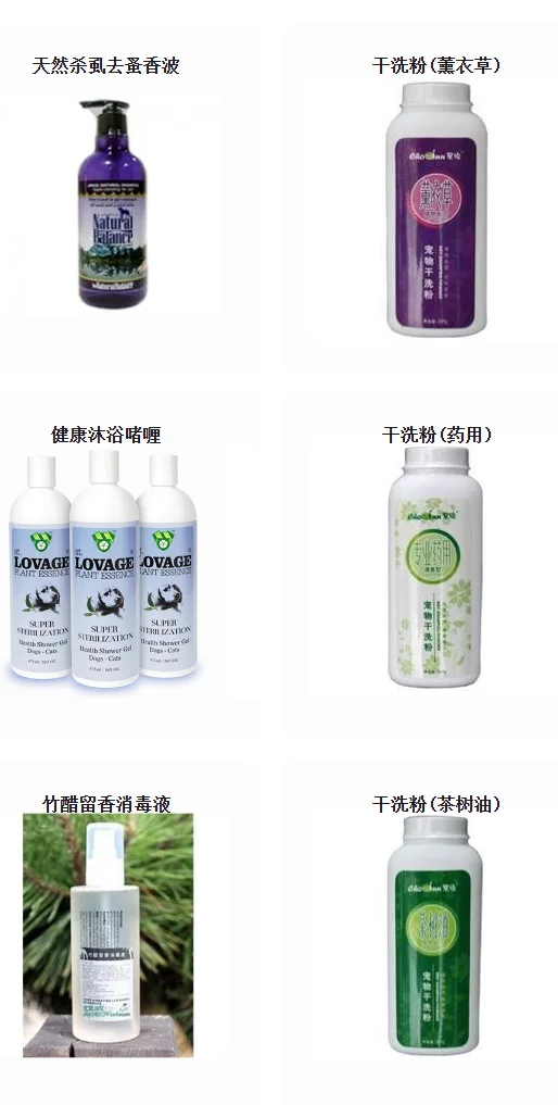 2025太原宠博会攻略?宠物爱好者必冲！