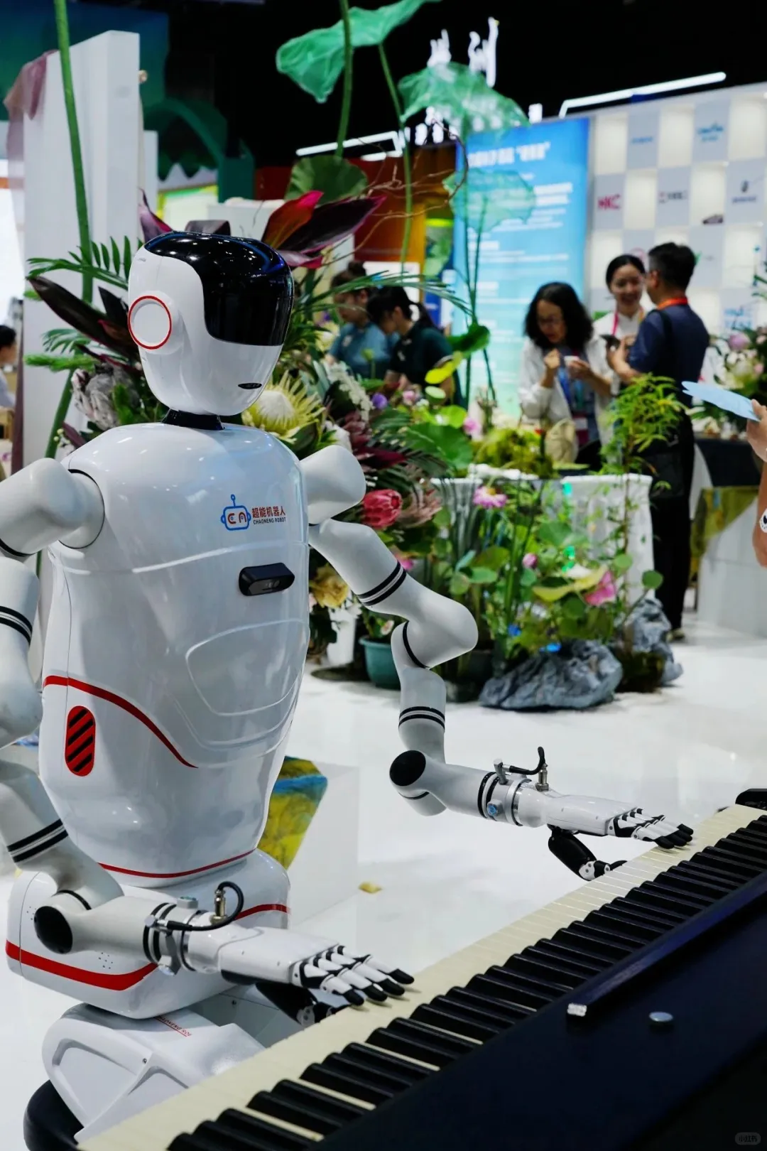 今天开馆！长沙宝妈在家门口就能带娃逛非洲