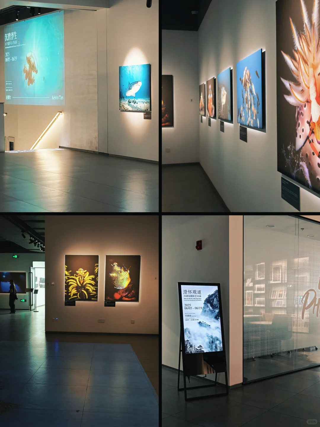 上海免费新展?️下雨可以在这待一天