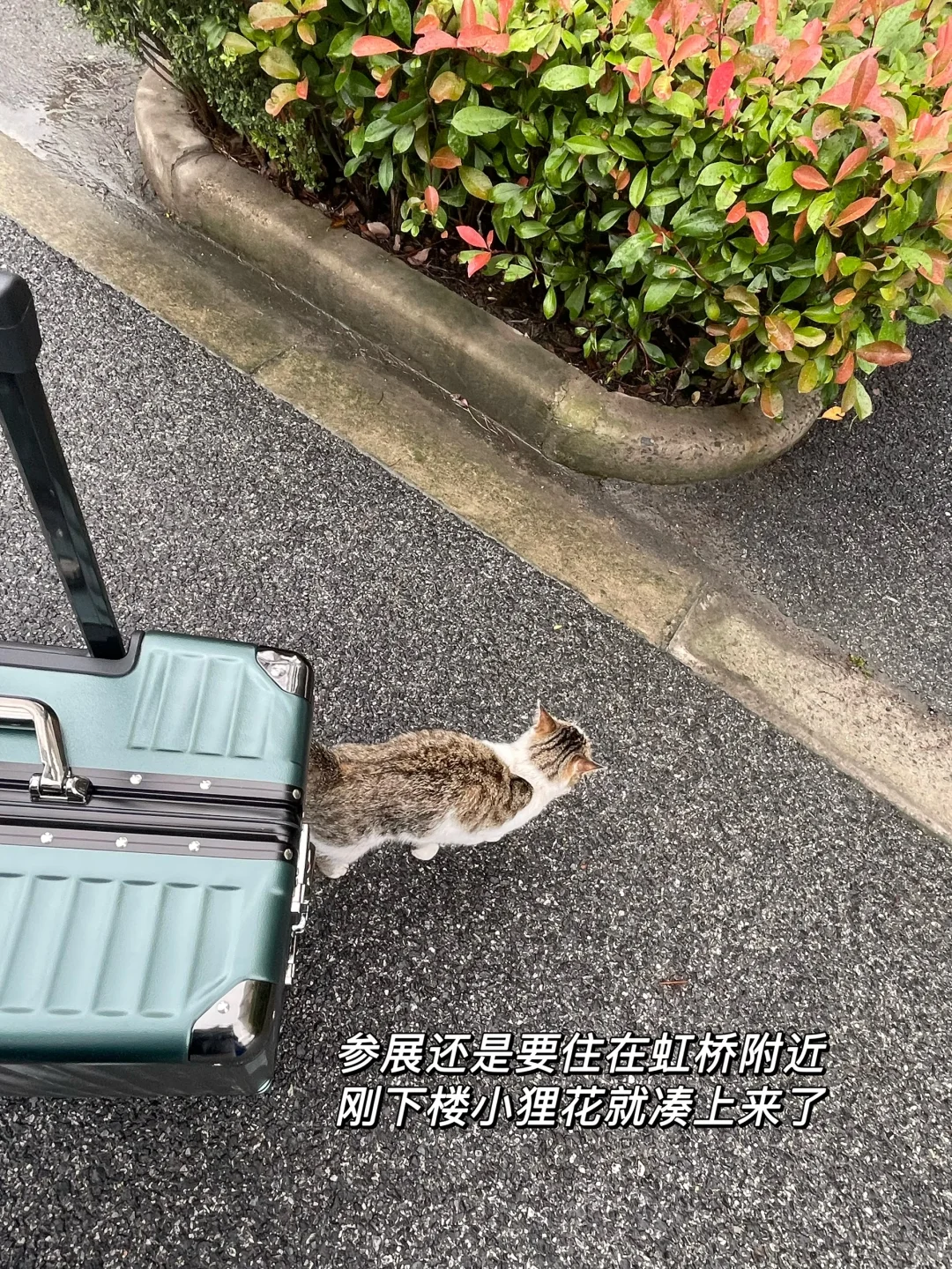 新能源｜mkt牛马SNEC展会搬砖plog