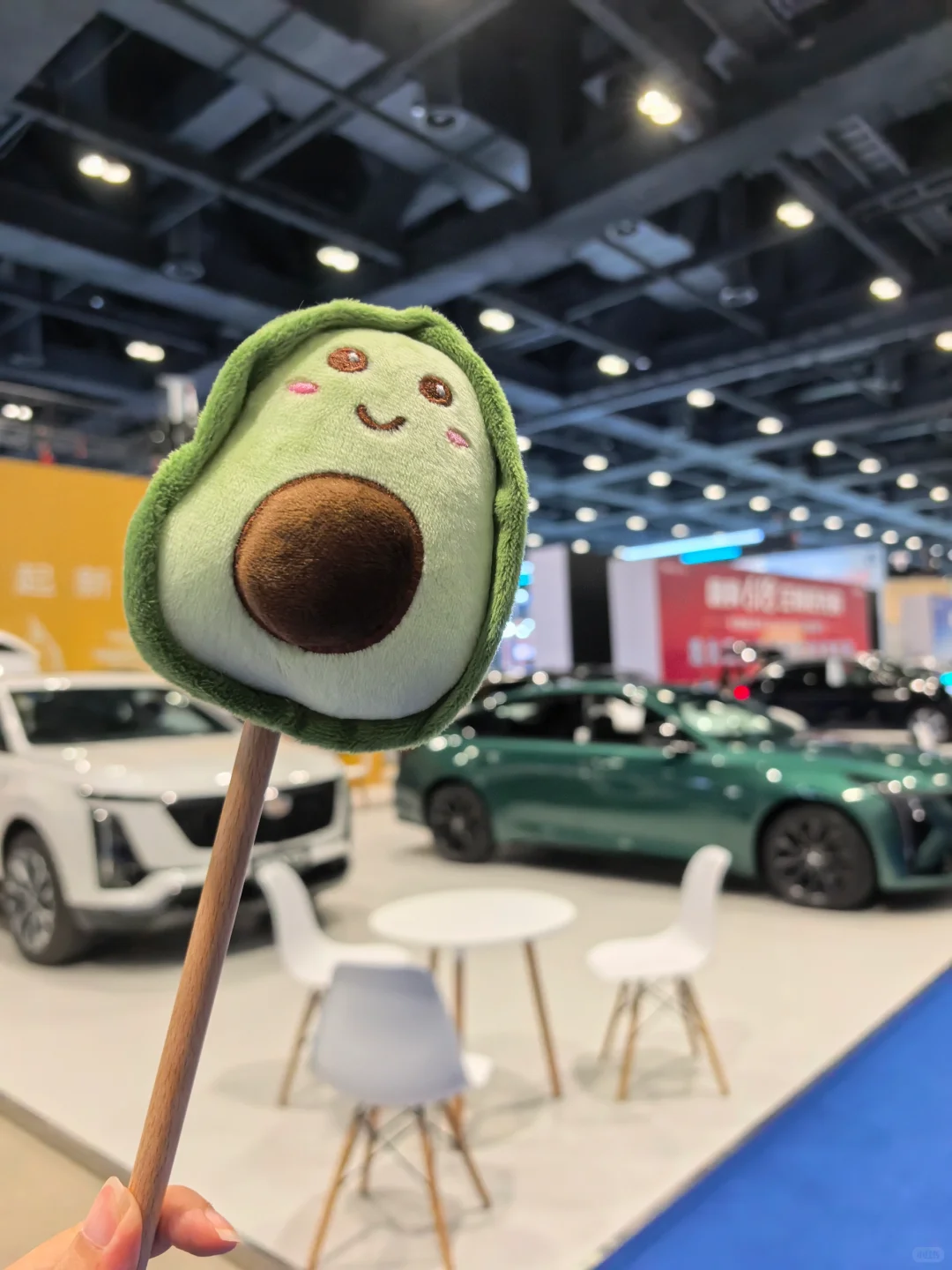 6.12京津冀国际车展