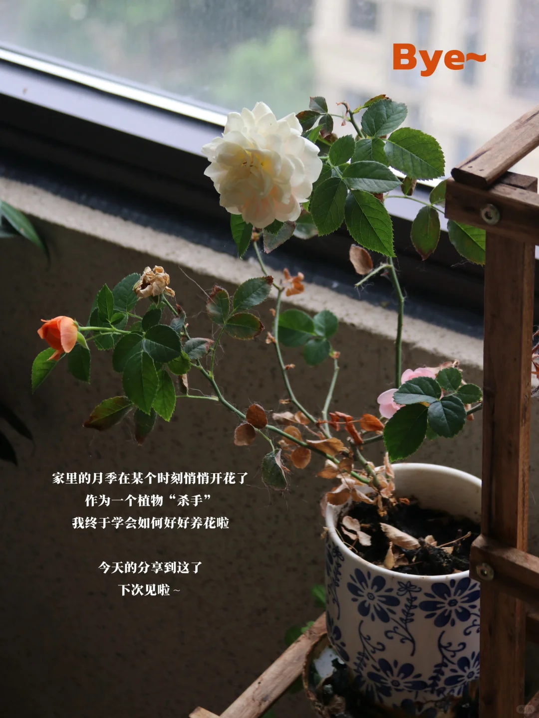 文科生找工作顶级心态：大胆去做，被拒绝再说