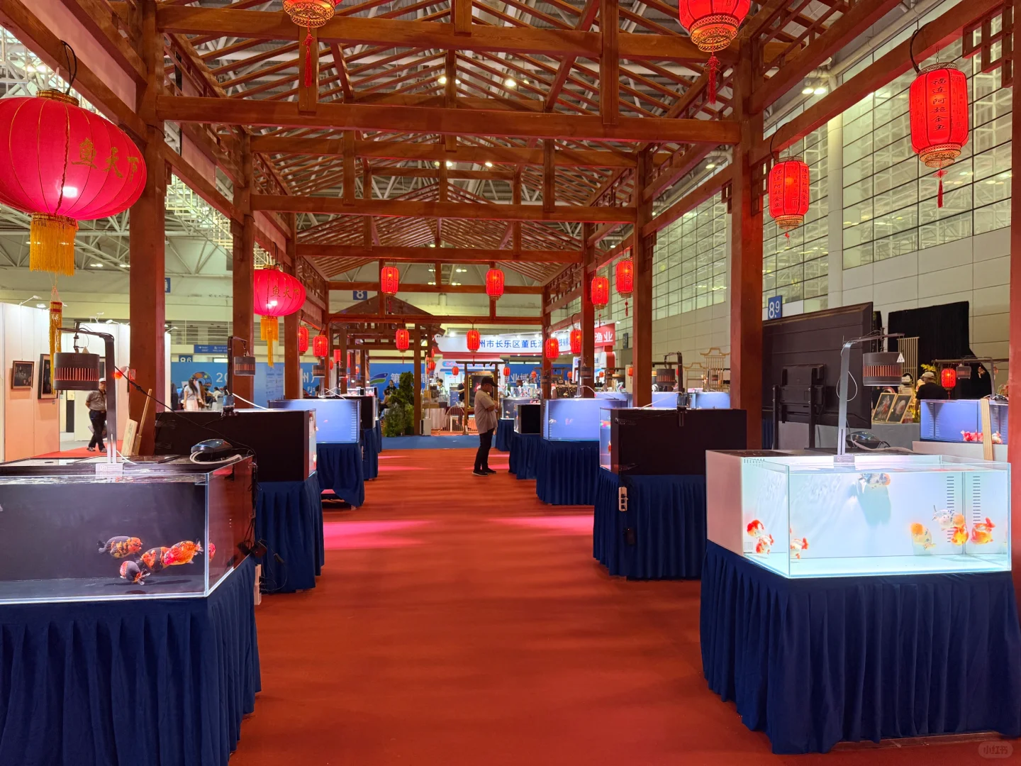 2025.6.13国际渔业博览会