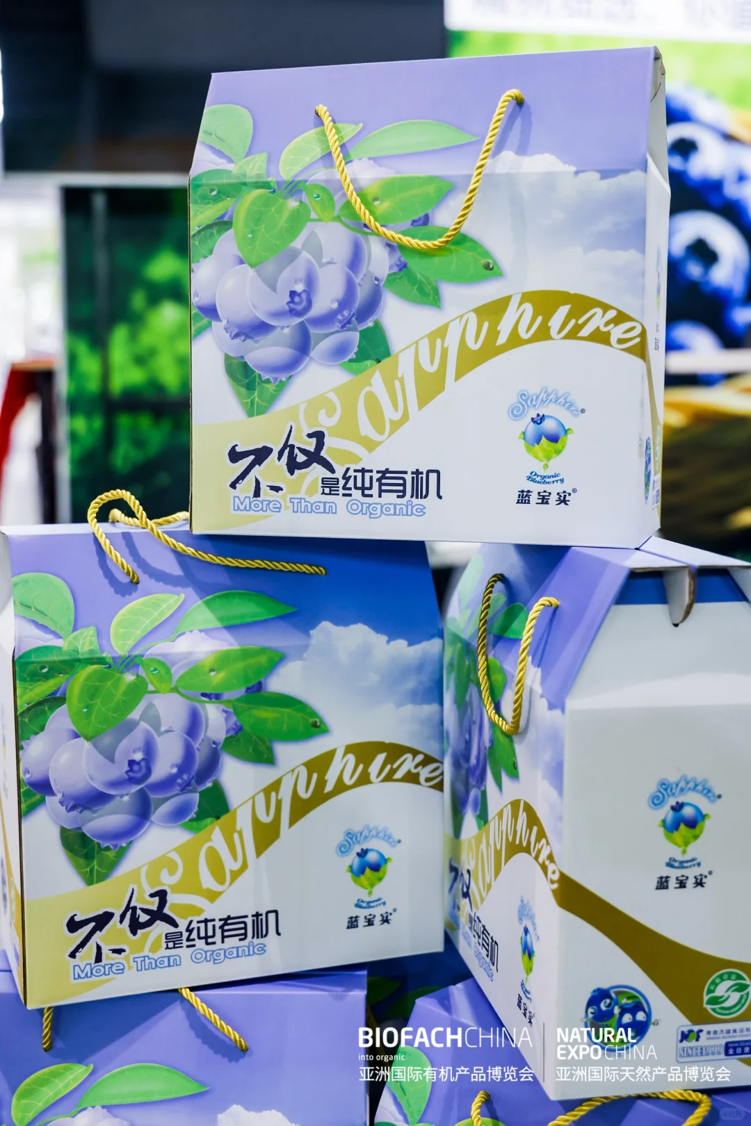 亚洲国际天然产品博览会，投融资如何助力