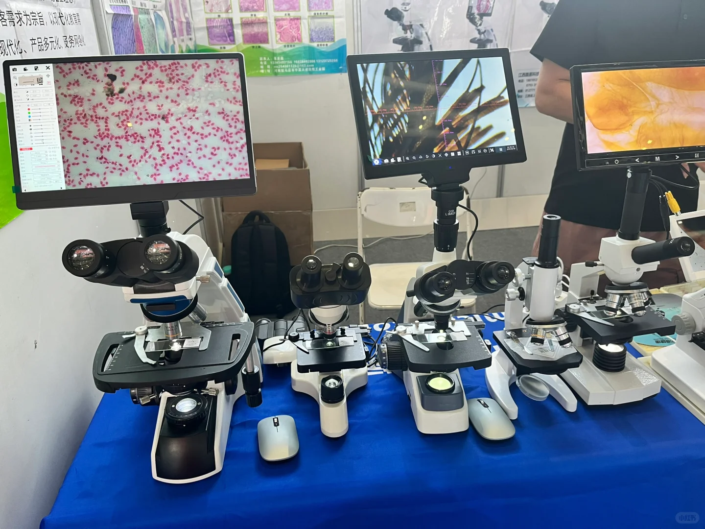 这个周末别错过超多逛吃的展会