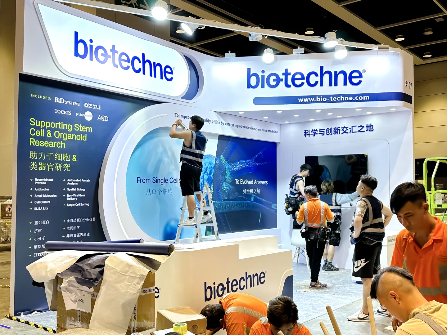 ✨新鲜出炉?香港ISSCR展搭建落地方案