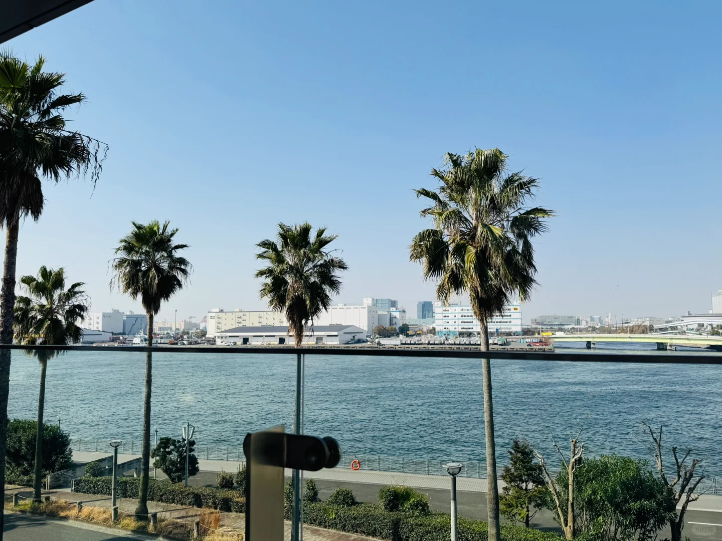 重生之我在日本摆展位?