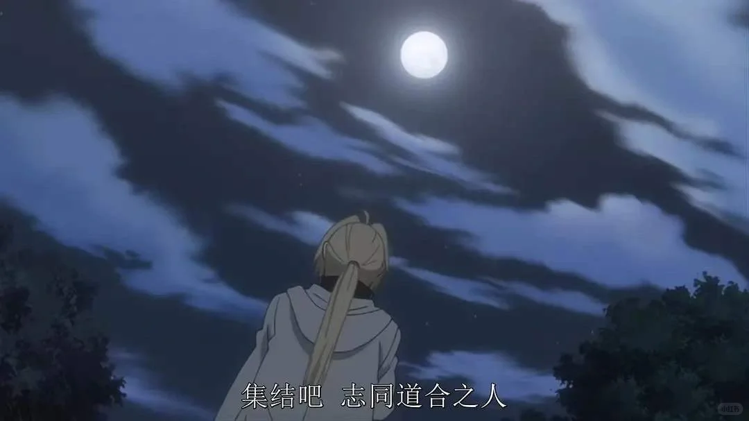 SNEC又是一场盛会