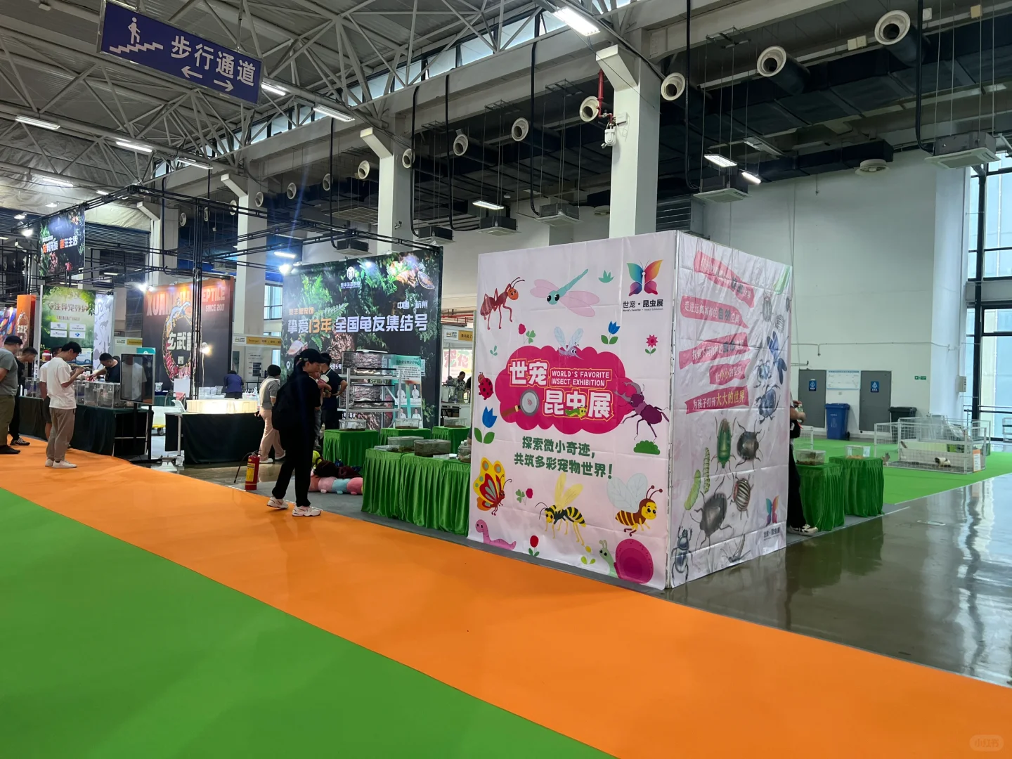 白马湖世博会展台打卡！