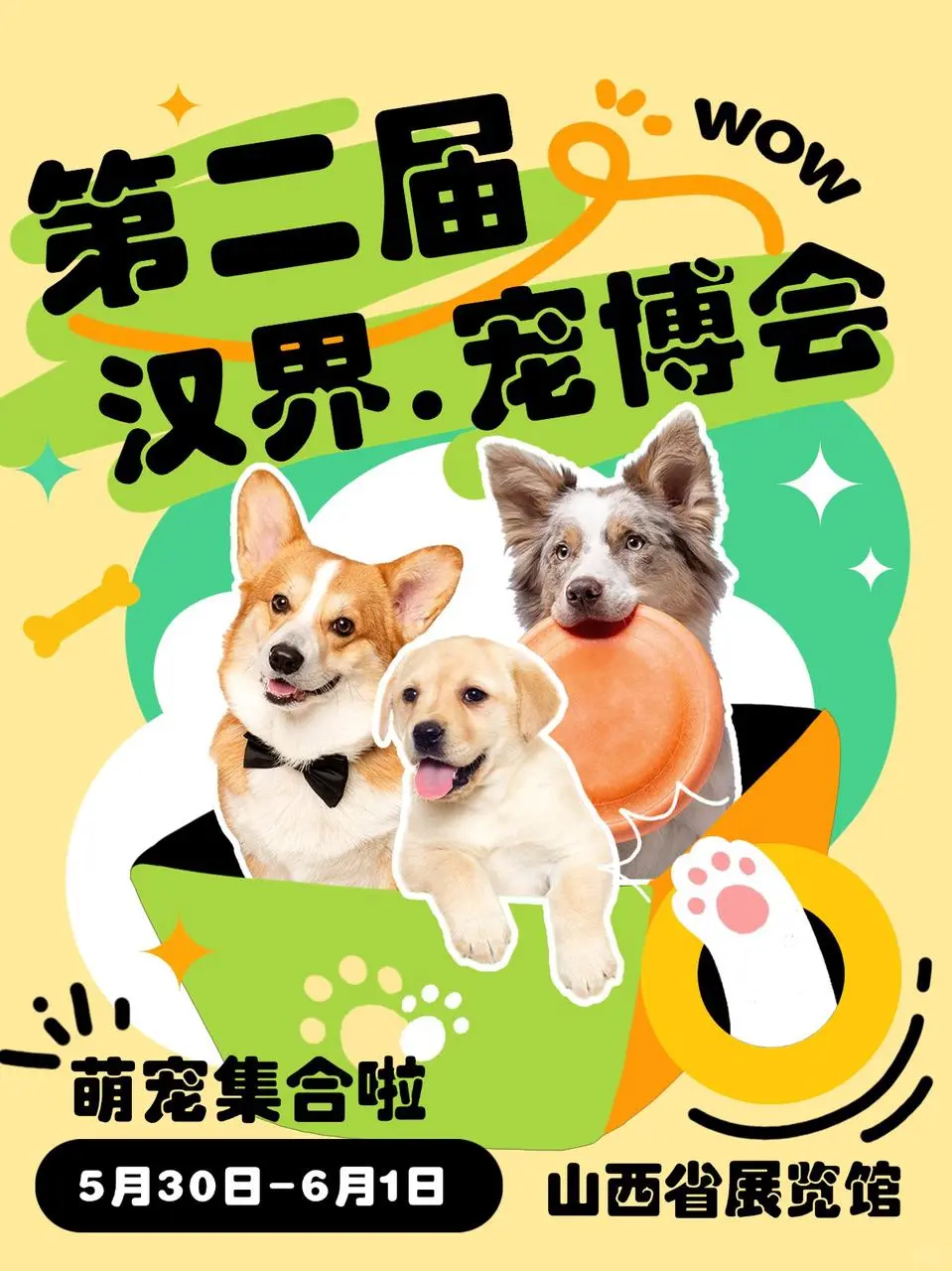 2025太原宠博会攻略?宠物爱好者必冲！