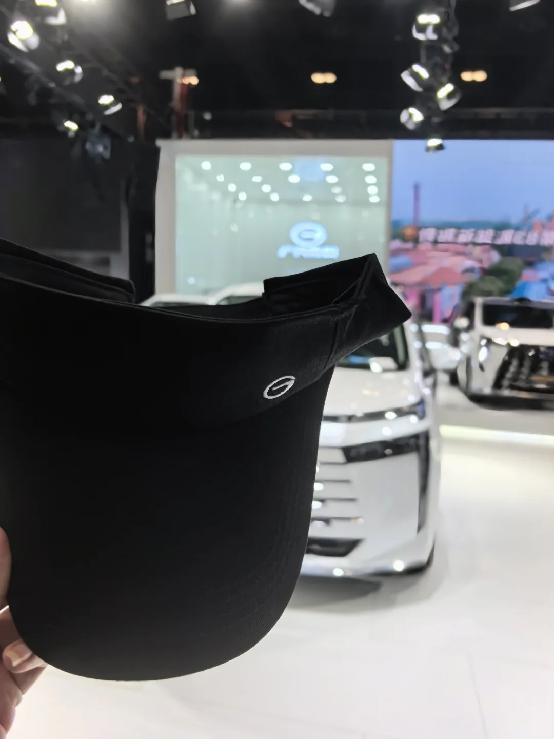 6.12京津冀国际车展