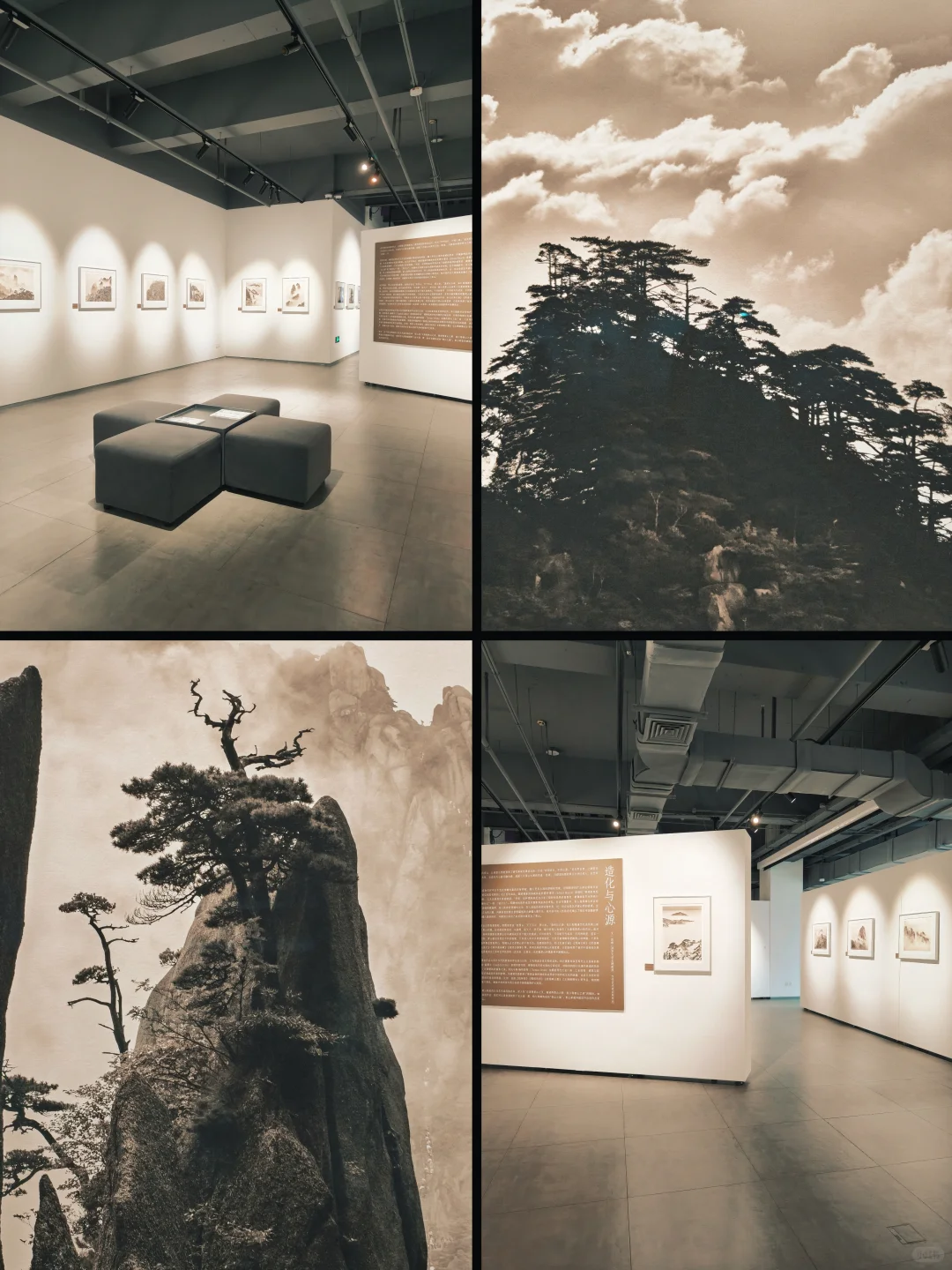 上海免费新展?️下雨可以在这待一天