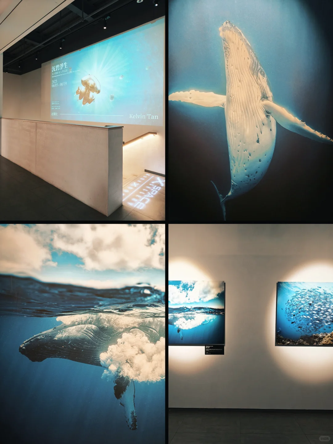 上海免费新展?️下雨可以在这待一天