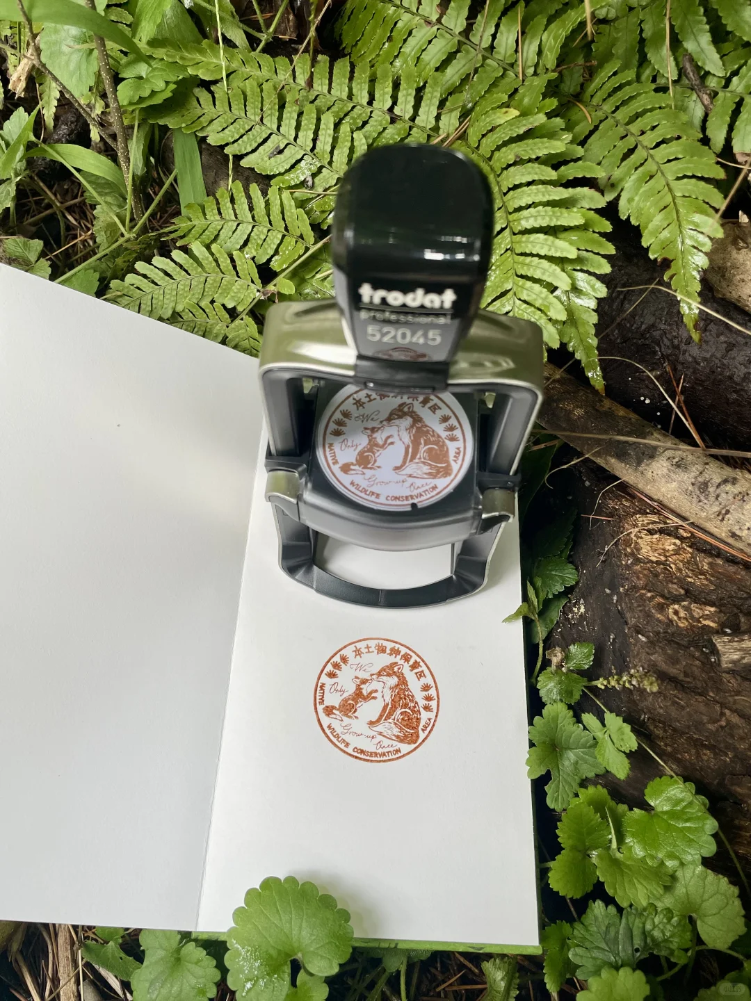 6.11-6.13本土区携赤狐印章空降上海✈️