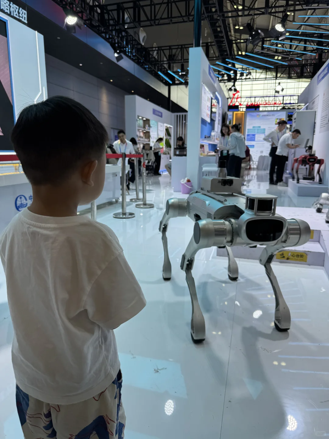 带娃逛非洲?｜长沙中非博览会超全攻略?