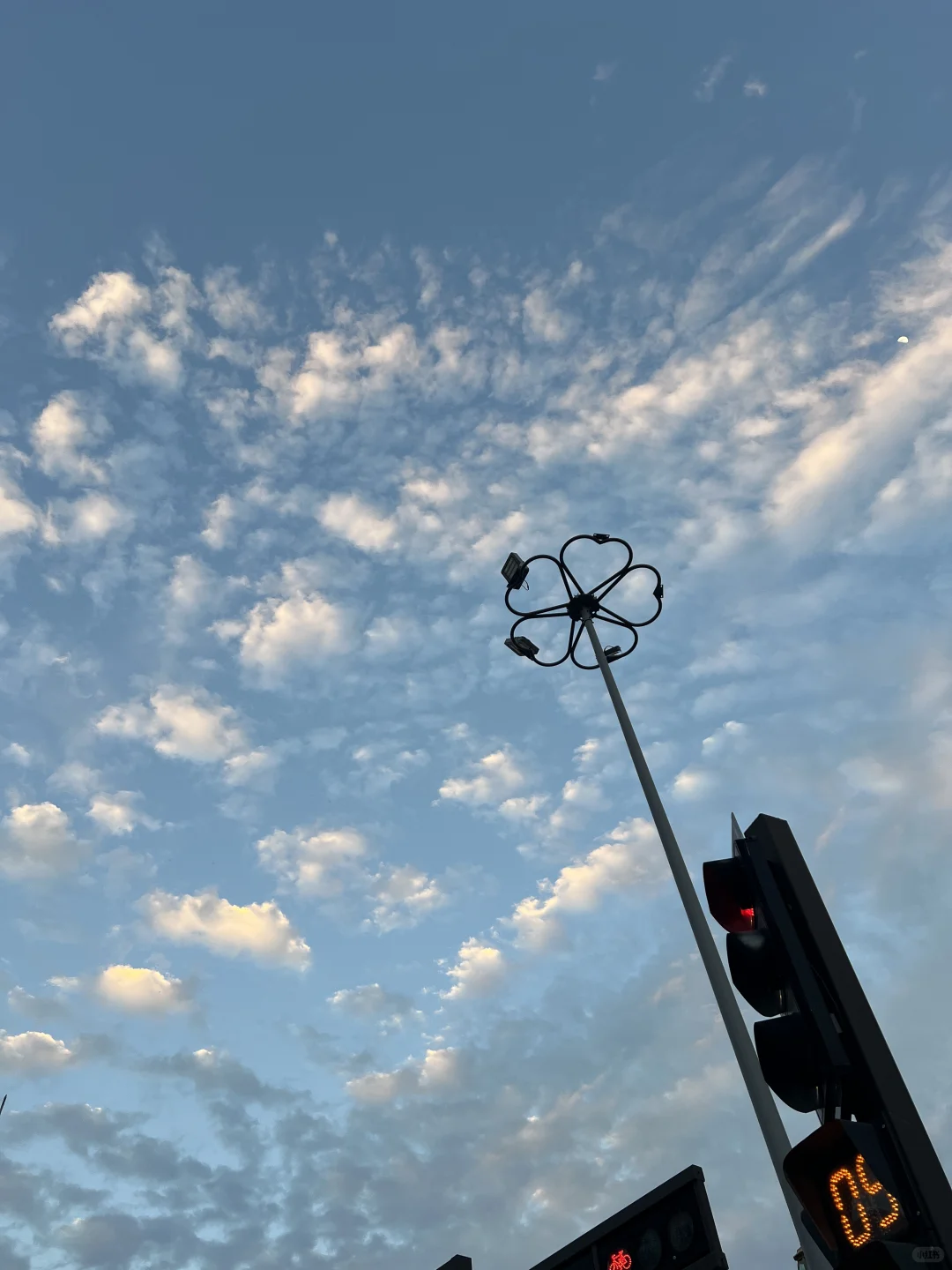 做展会销售第三个月 0单 日常就是挨叼