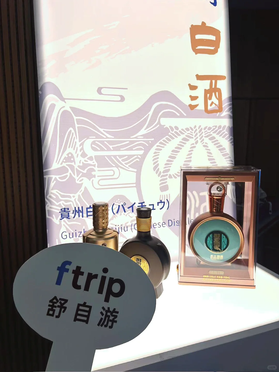 舒自游&日本大阪世博会 共绘国际新图景?