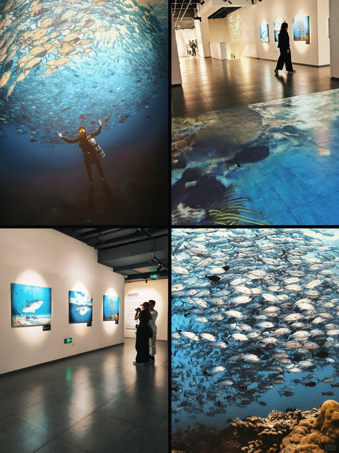 上海免费新展?️下雨可以在这待一天