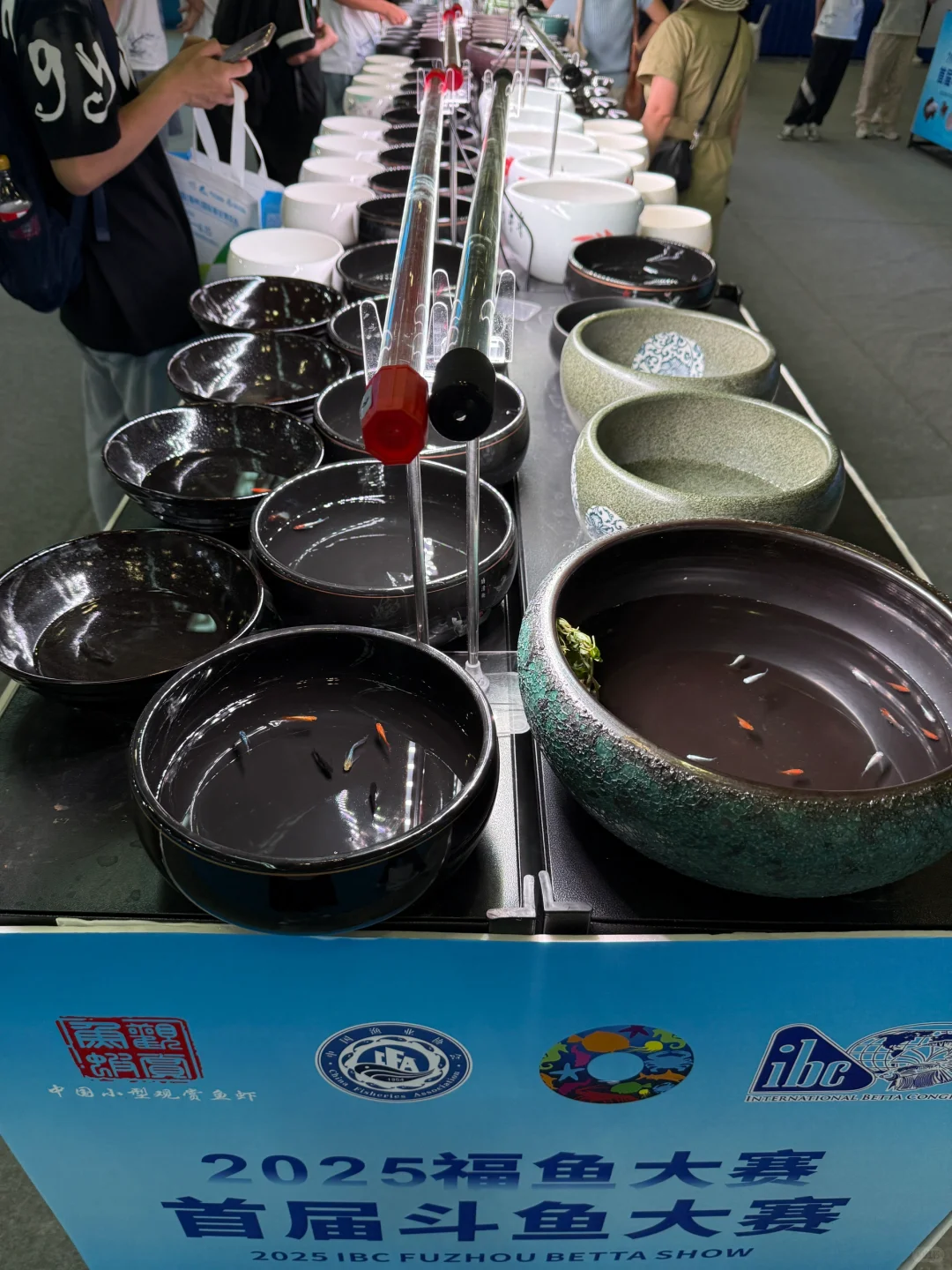 2025.6.13国际渔业博览会