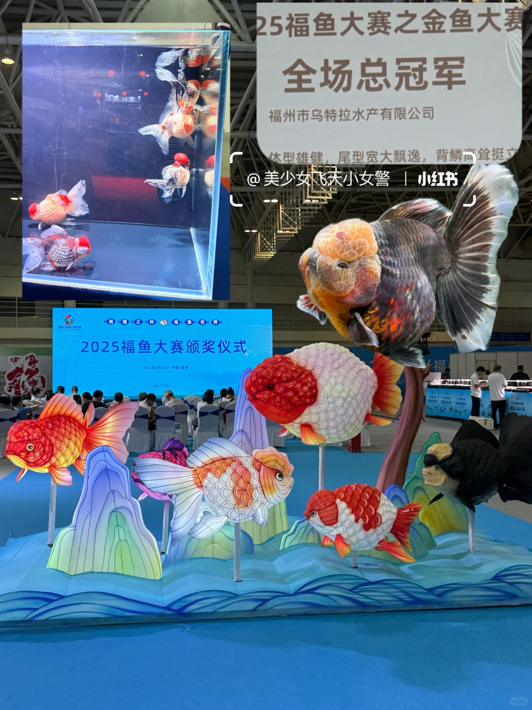 2025.6.13国际渔业博览会