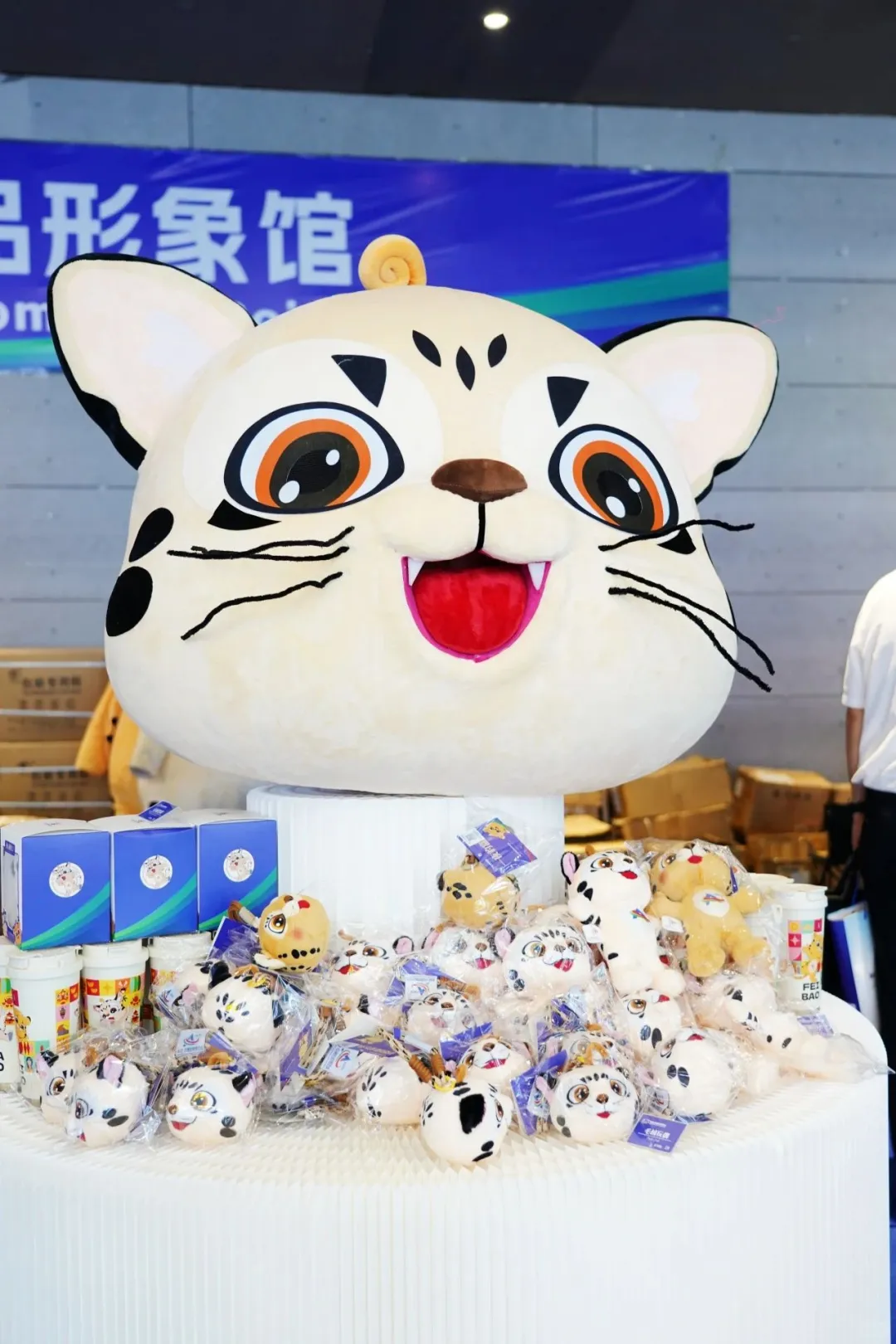 今天开馆！长沙宝妈在家门口就能带娃逛非洲