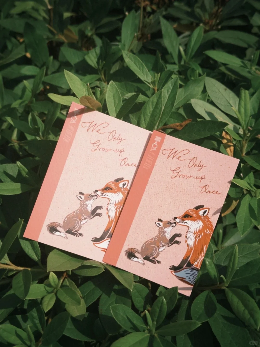 6.11-6.13本土区携赤狐印章空降上海✈️