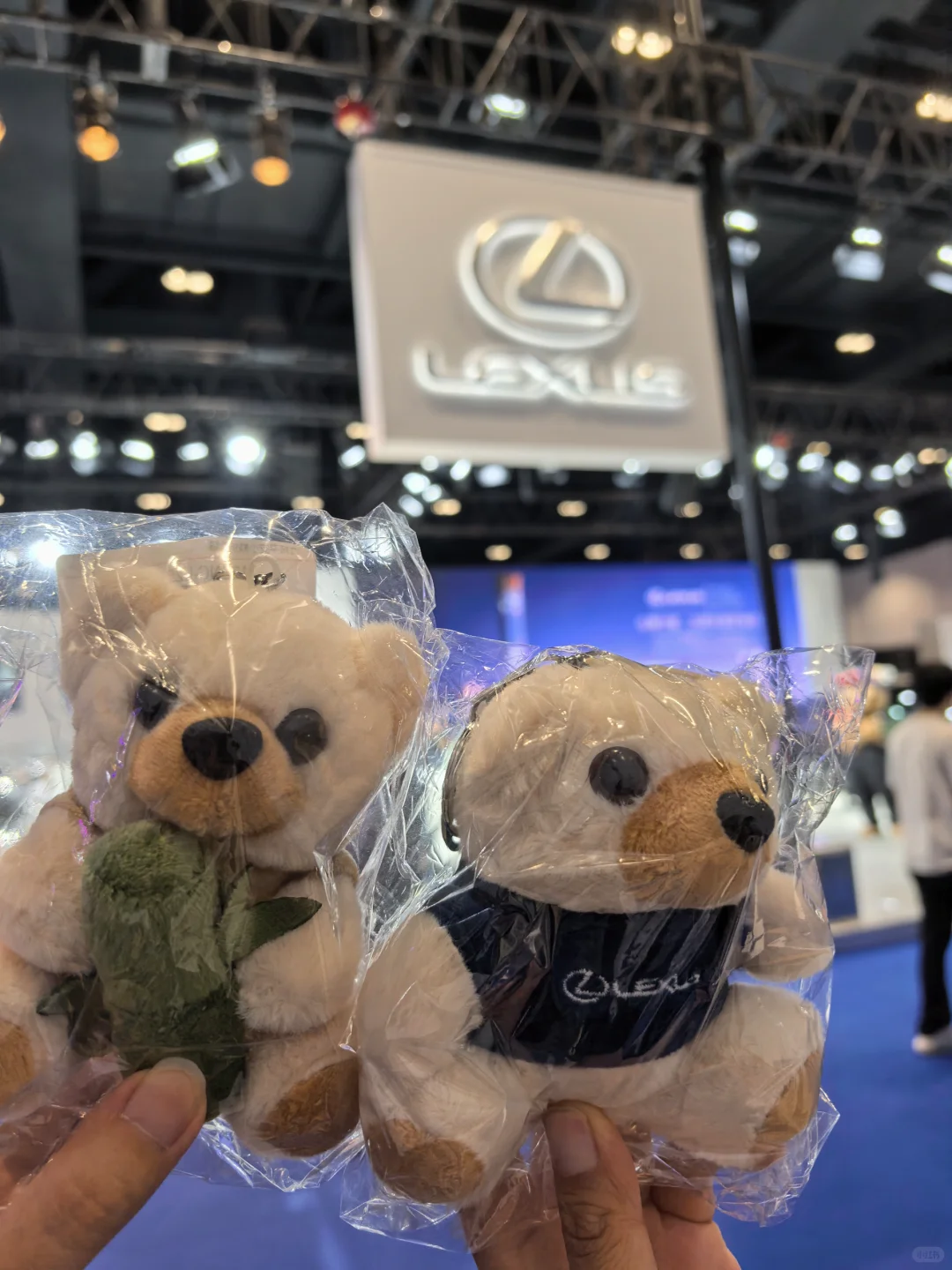 6.12京津冀国际车展