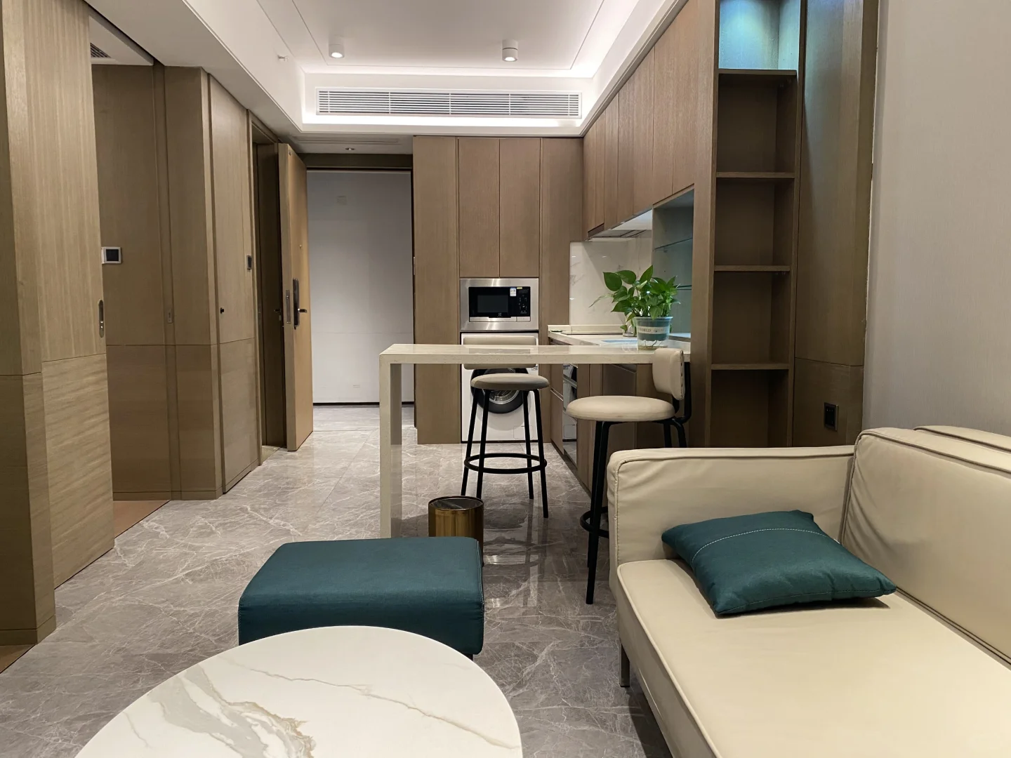 个人转租！深圳会展中心旁3.5k神仙一房一厅