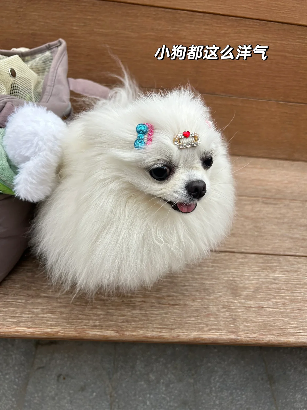 建筑er重生之我在德国办展会｜筹备篇