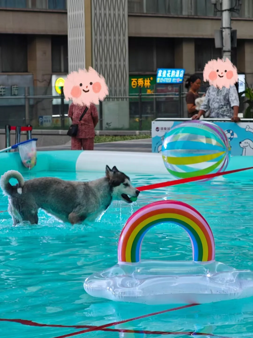 贝格探索重庆南坪会展中心亲子宠物活动@～@