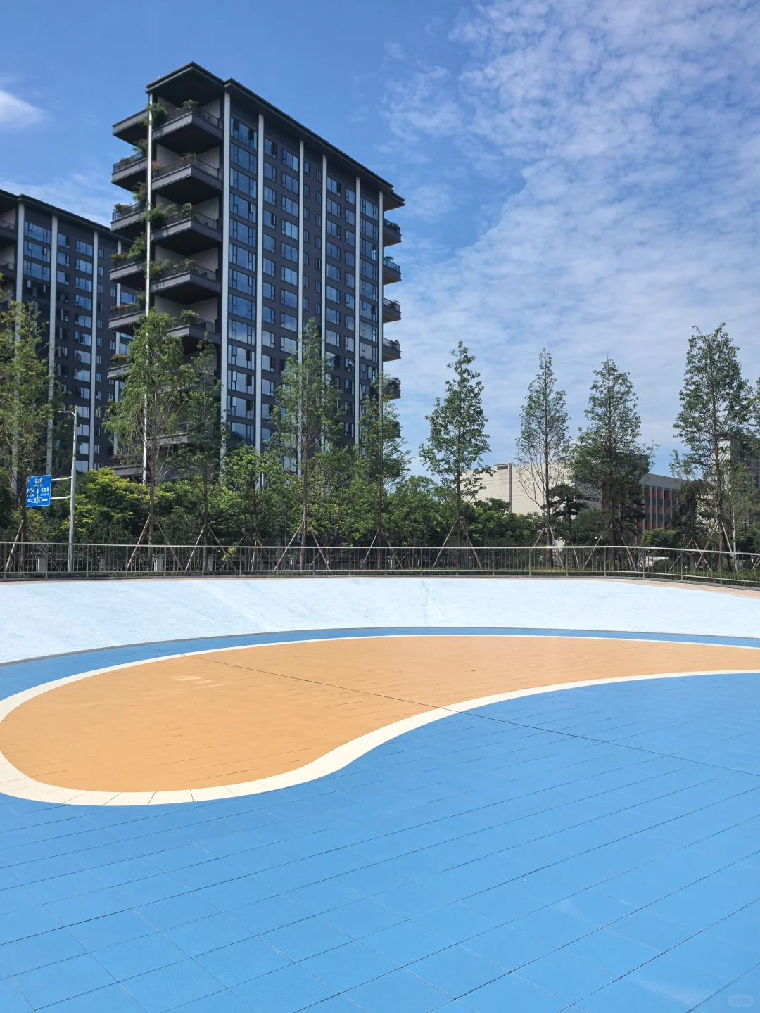 逛遍长沙公园(261)：会展湾松树公园