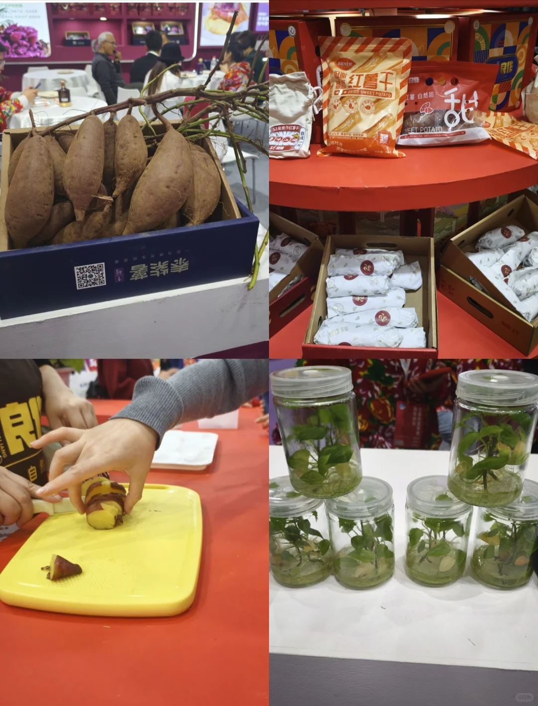 杭州亚果会| 又去逛展（进货）了