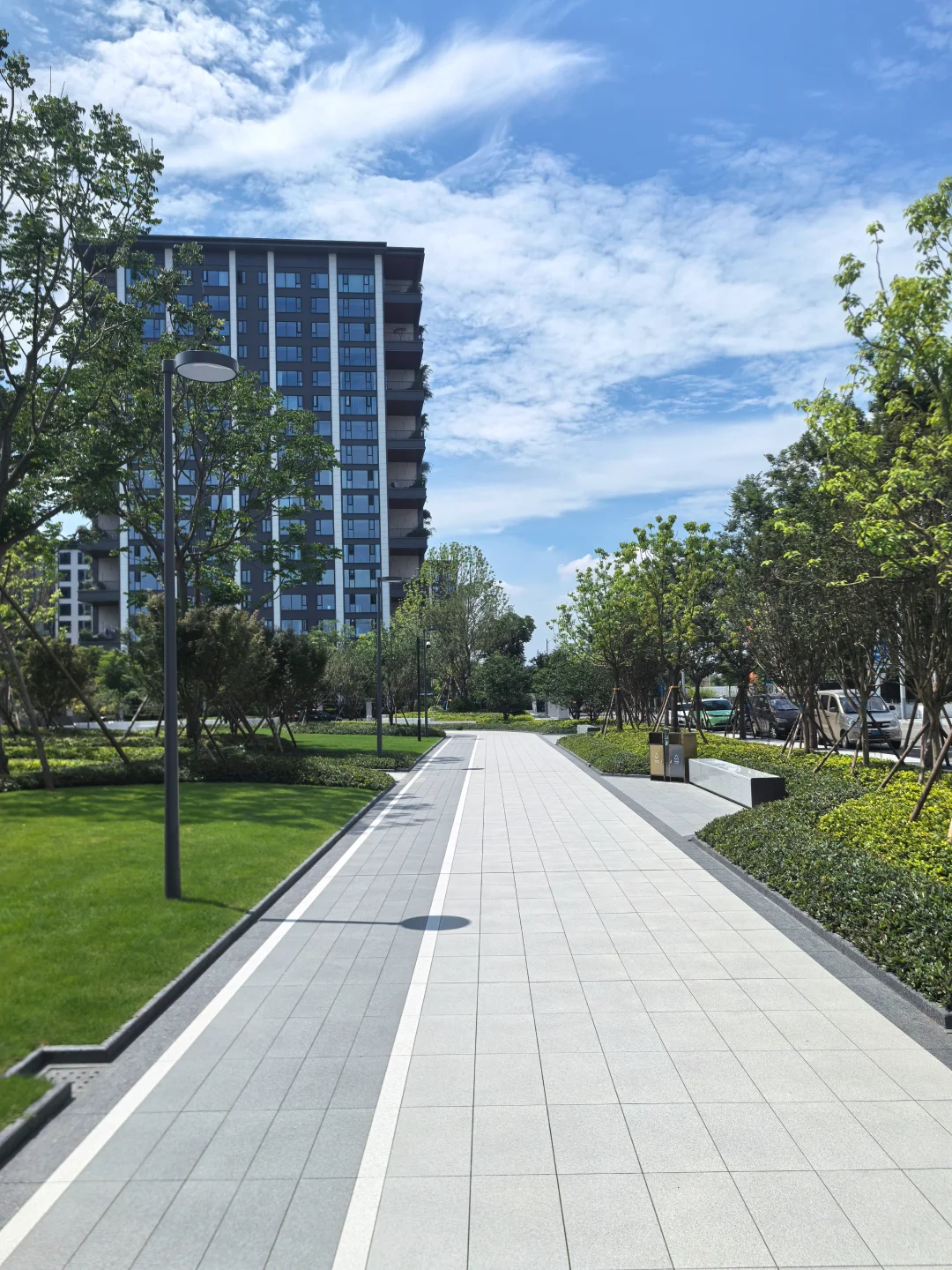 逛遍长沙公园(261)：会展湾松树公园