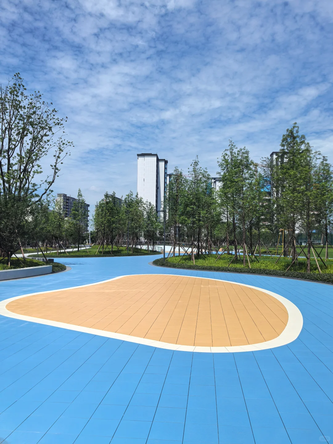 逛遍长沙公园(261)：会展湾松树公园