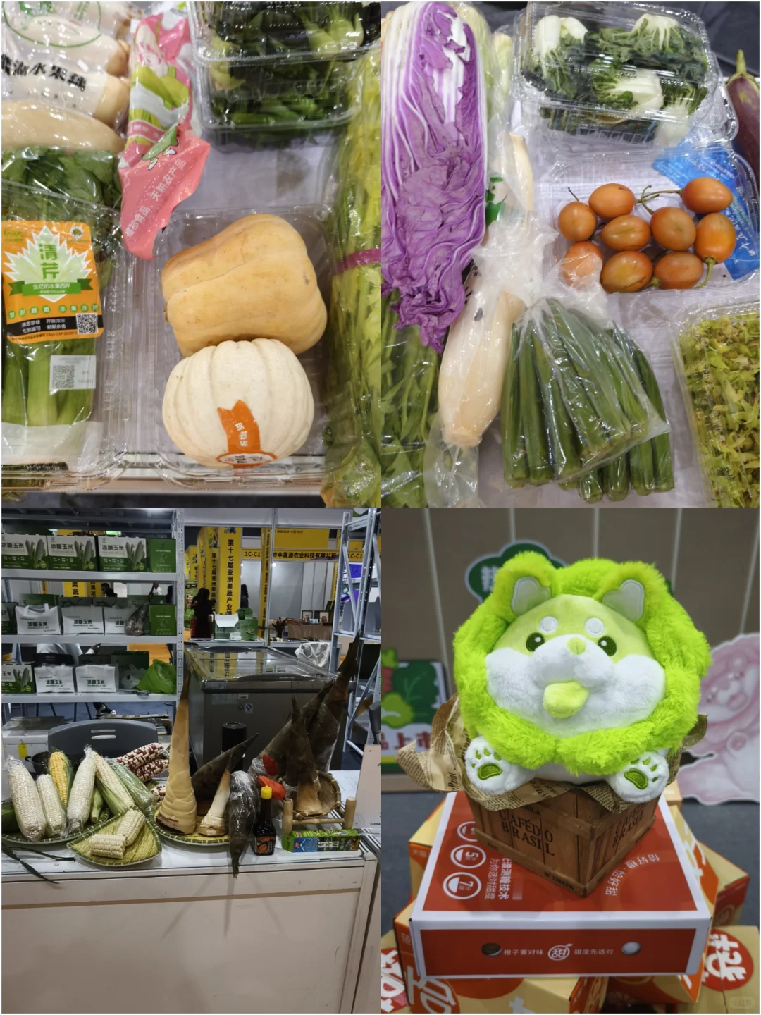 杭州亚果会| 又去逛展（进货）了