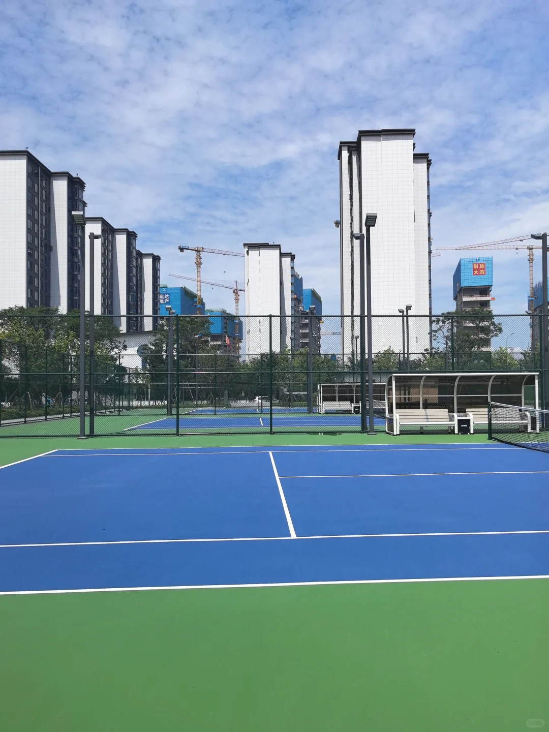 逛遍长沙公园(261)：会展湾松树公园