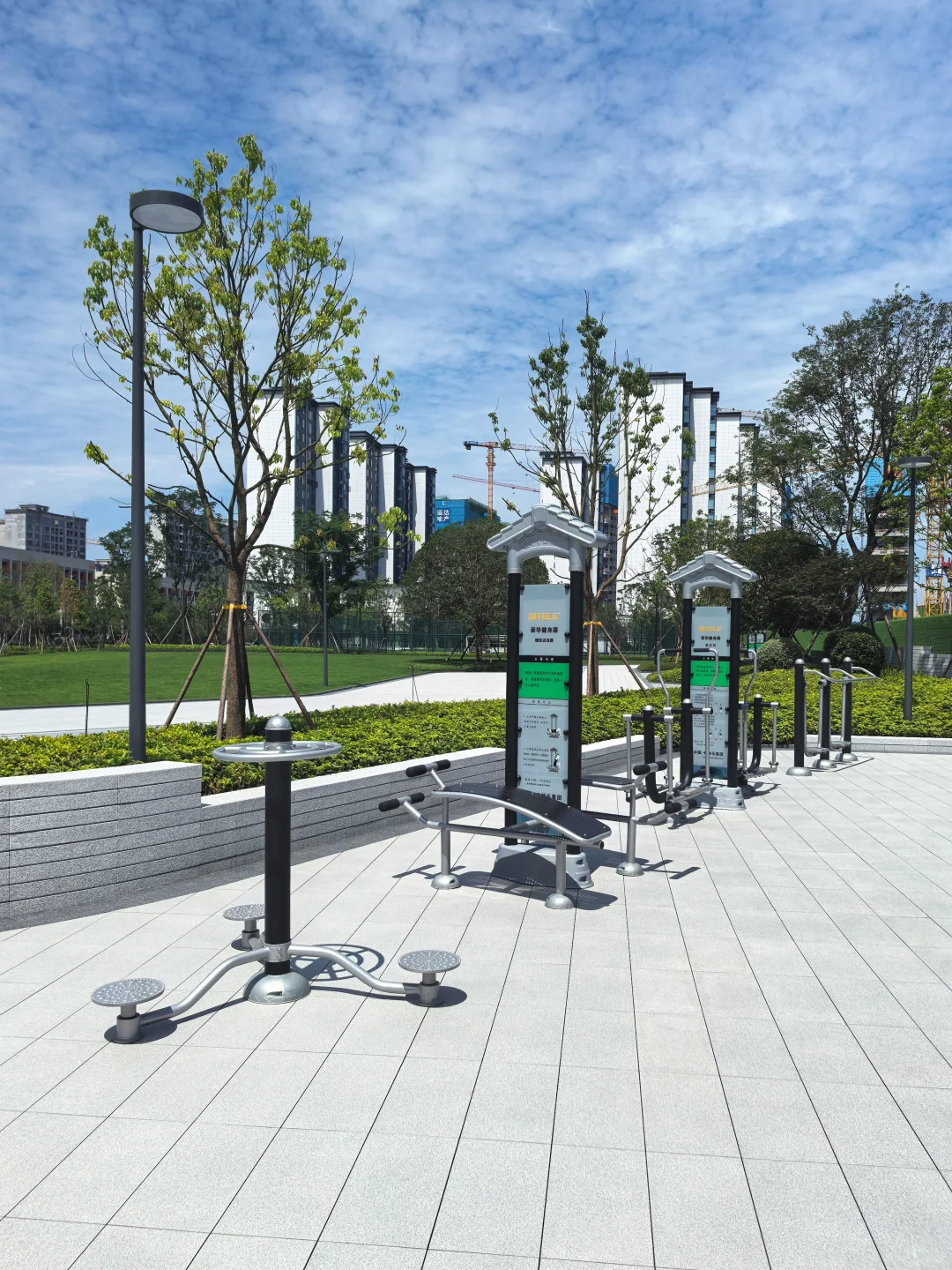 逛遍长沙公园(261)：会展湾松树公园