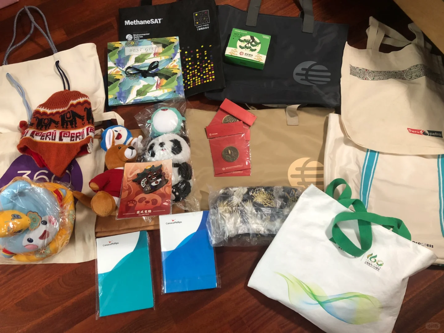 第29届世界燃气大会美丽羊毛集合