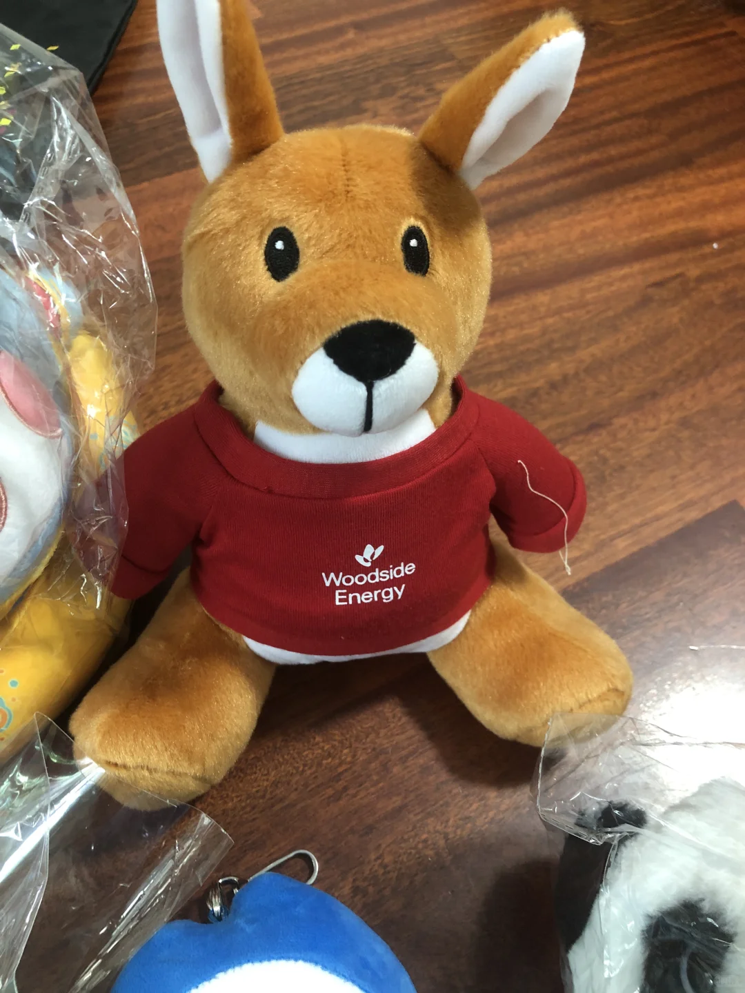 第29届世界燃气大会美丽羊毛集合